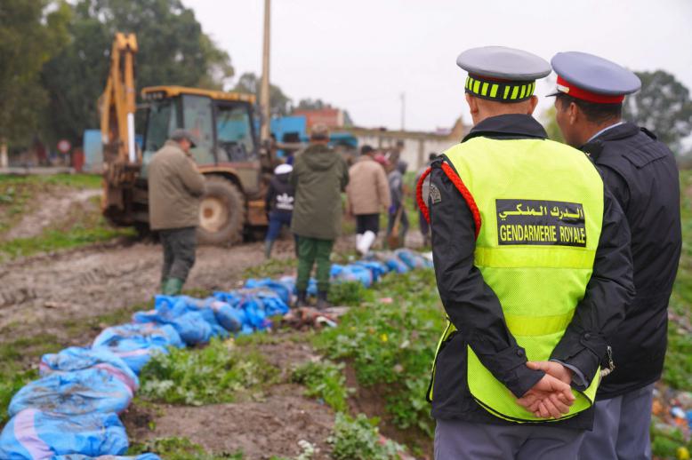 سرعة الاستجابة خففت من حدة الكارثة الطبيعية 