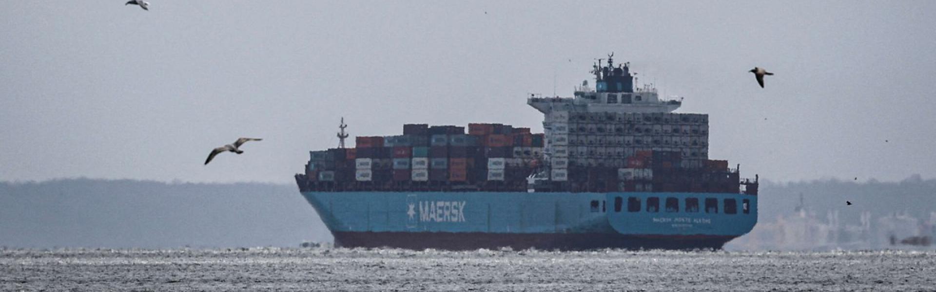 أول العائدين إلى قناة السويس