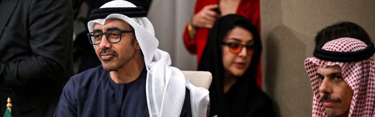 عبدالله بن زايد
