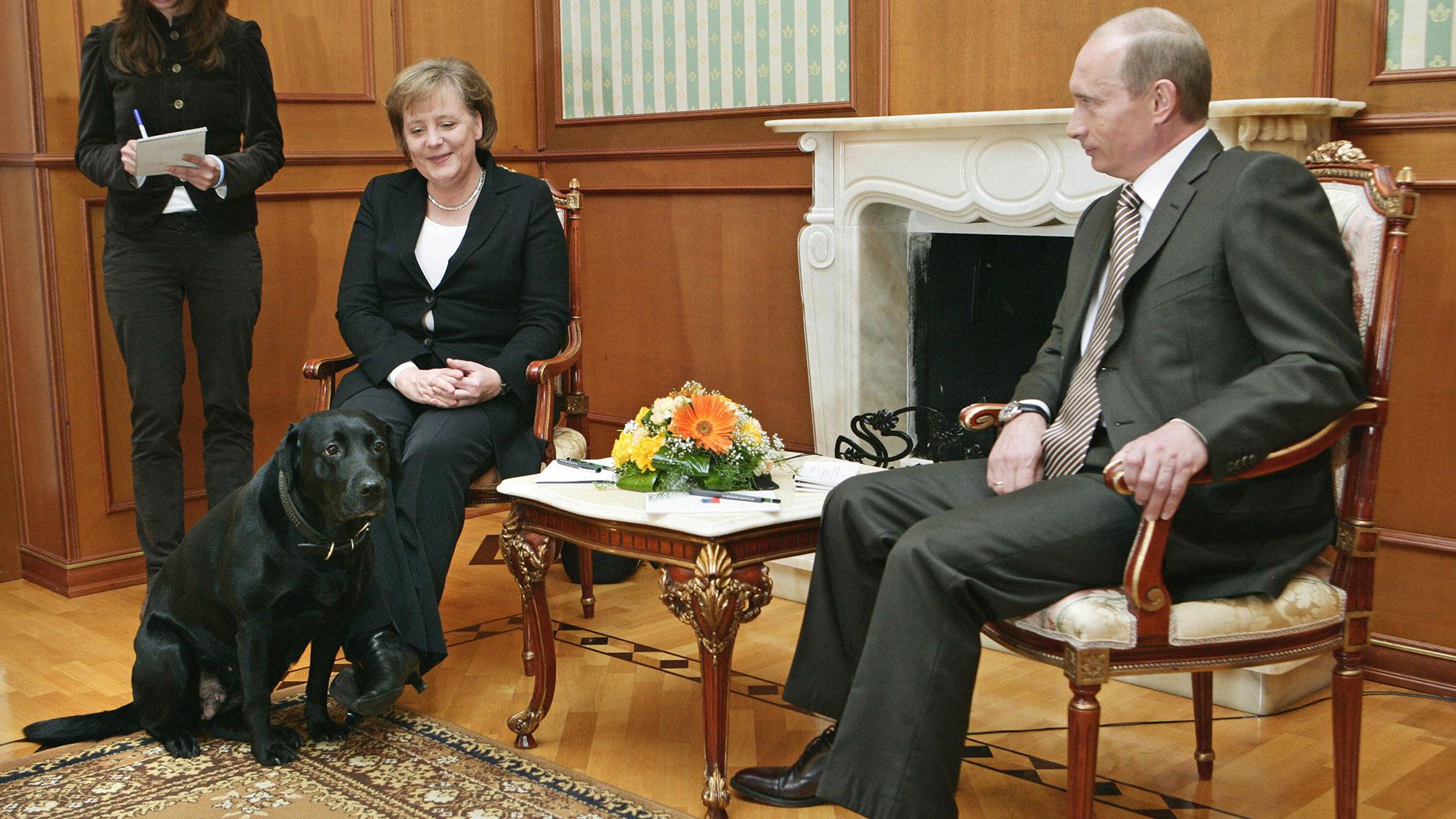 الرئيس الروسي فلاديمير بوتين والمستشارة الألمانية أنغيلا ميركل