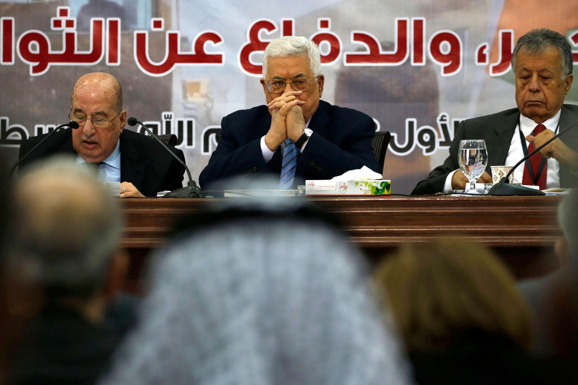 عباس المعني الأول بتنفيذ قرارات المجلس في أي وقت