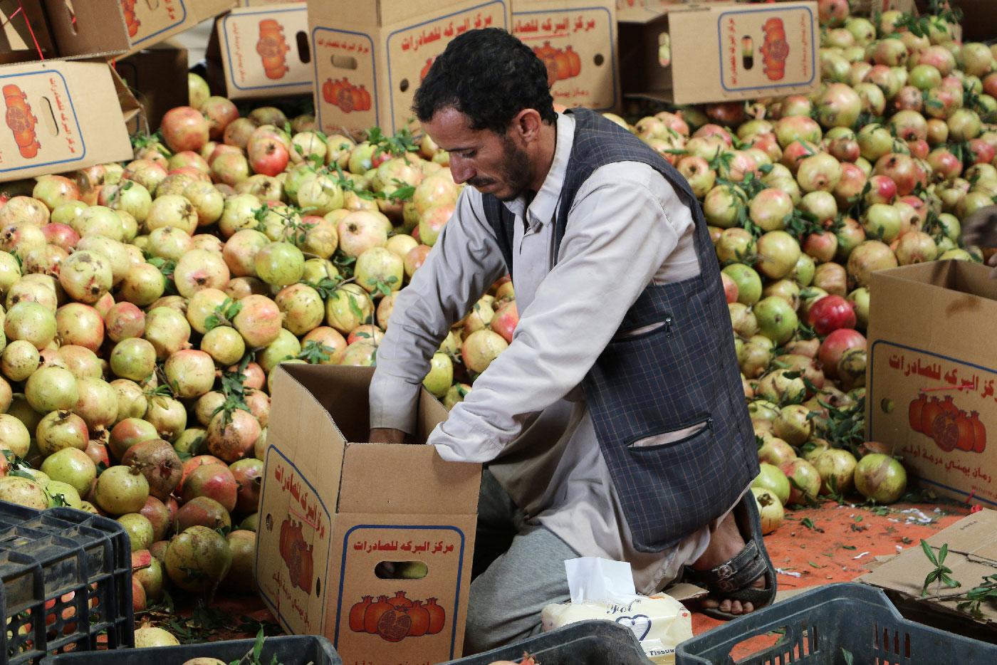 A worker packs pomegranates for export in Saada, Yemen September 25, 2018.