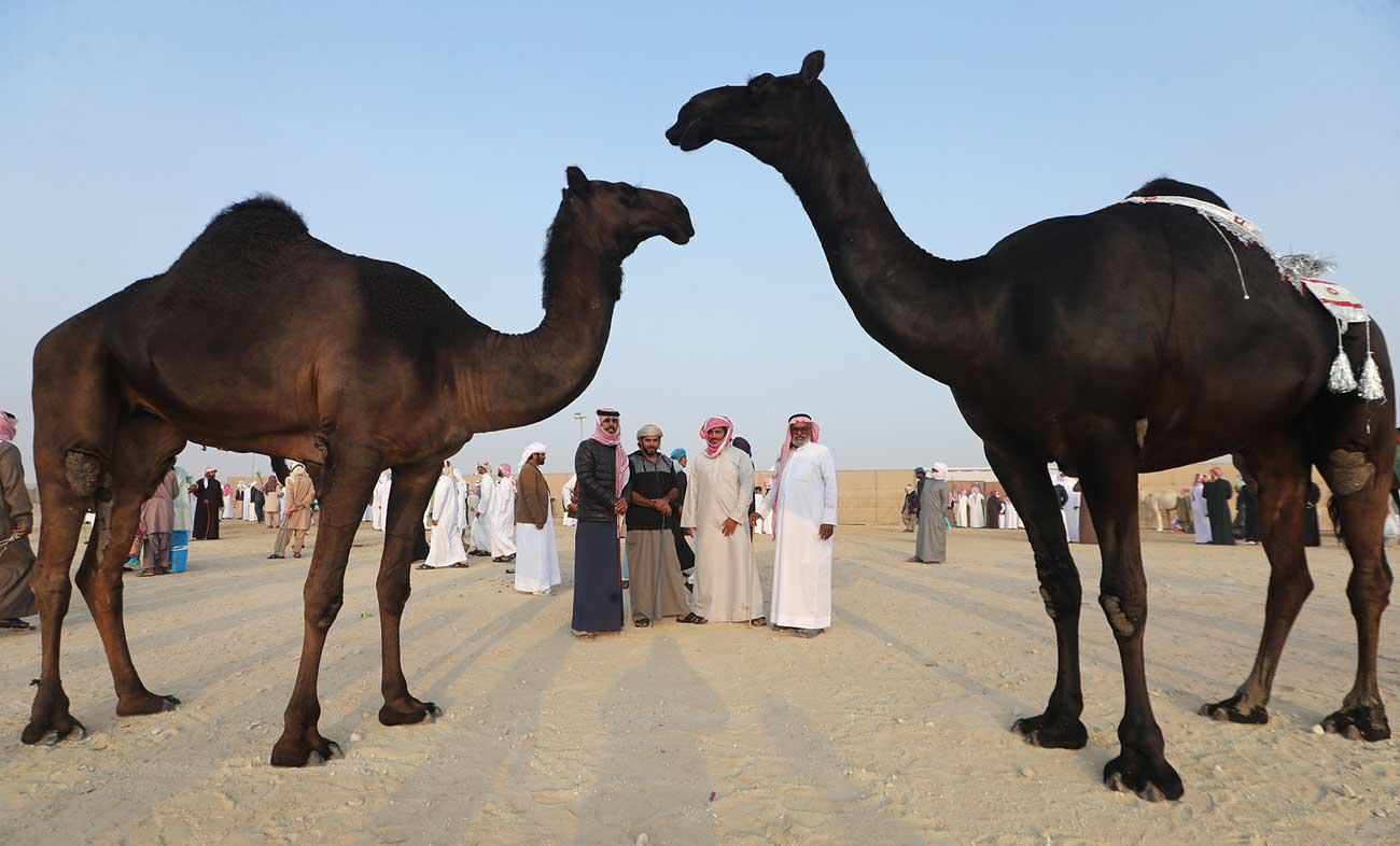 قضاء أجمل الأوقات