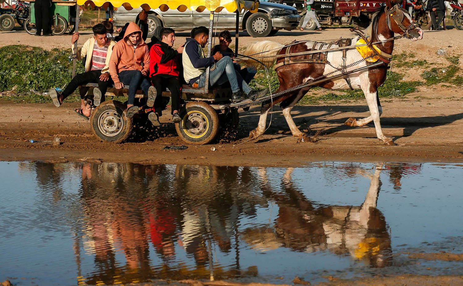 شباب فلسطينيون يركبون عربة يجرها حصان في غزة