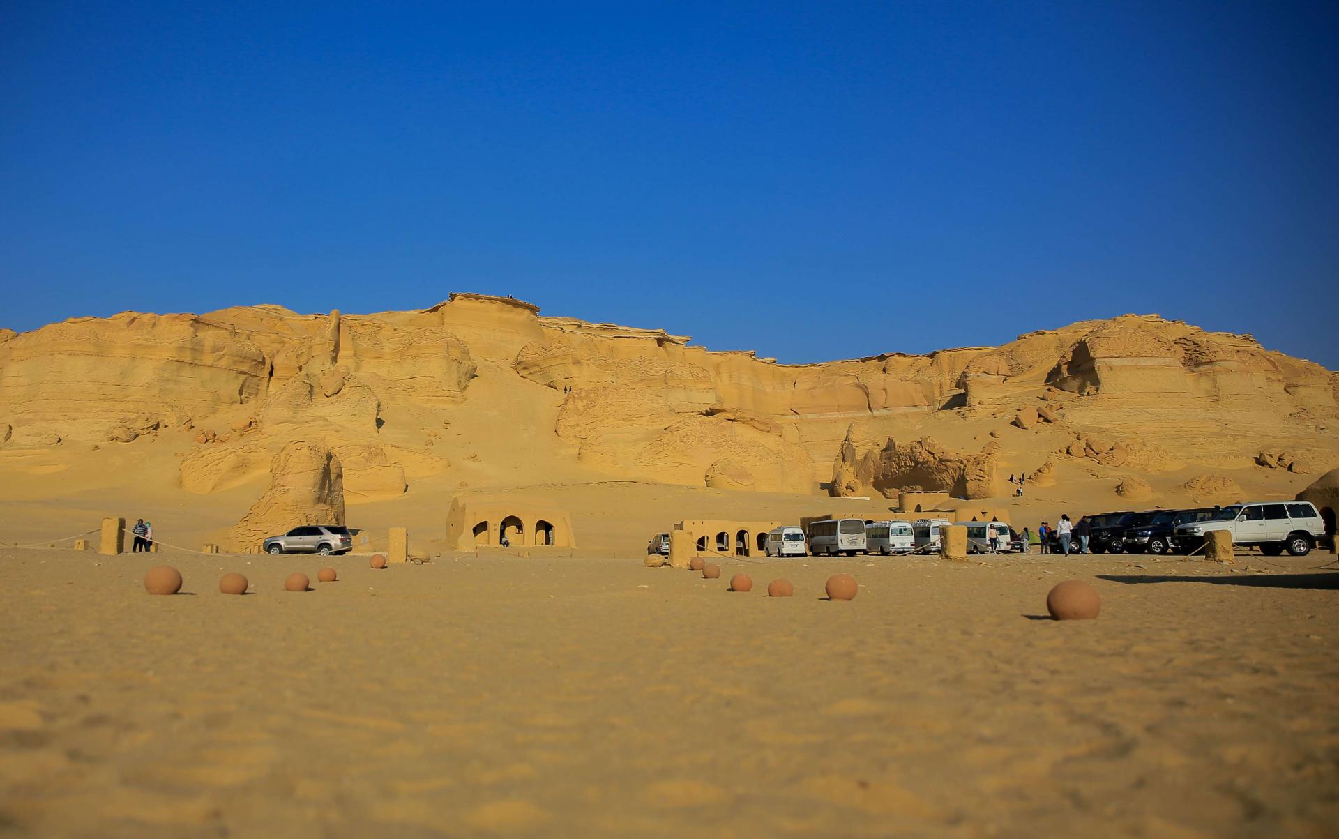 وادي الحيتان