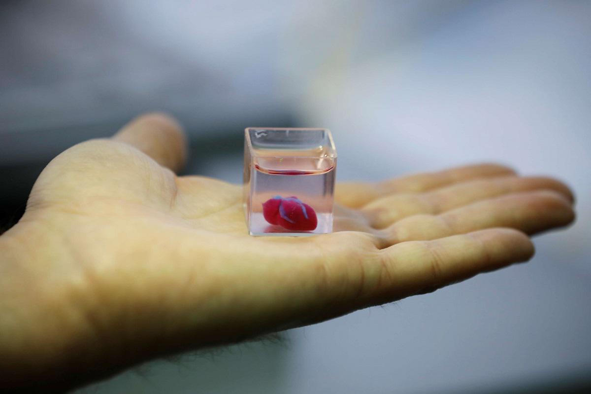 كوب شفاف صغير يحتوي على أول قلب مصنوع بالأبعاد الثلاثية في مختبر جامعة تل أبيب