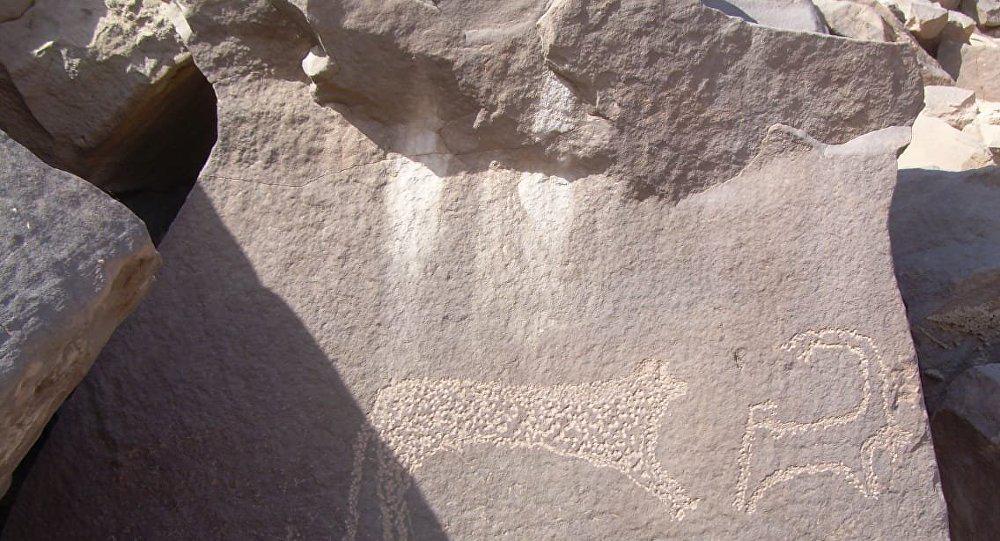 نقوش على الحجر تصور بعض حيوانات صحراء اسوان القديمة (صورة بثتها وزارة الآثار المصرية على فيسبوك)