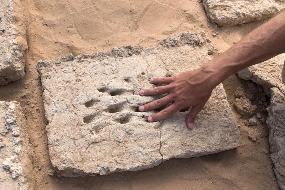 قطع أثرية مكتشفة في موقع هيلي 2 بمدينة العين (الصورة من صفحة دائرة الثقافة والسياحة في أبوظبي)