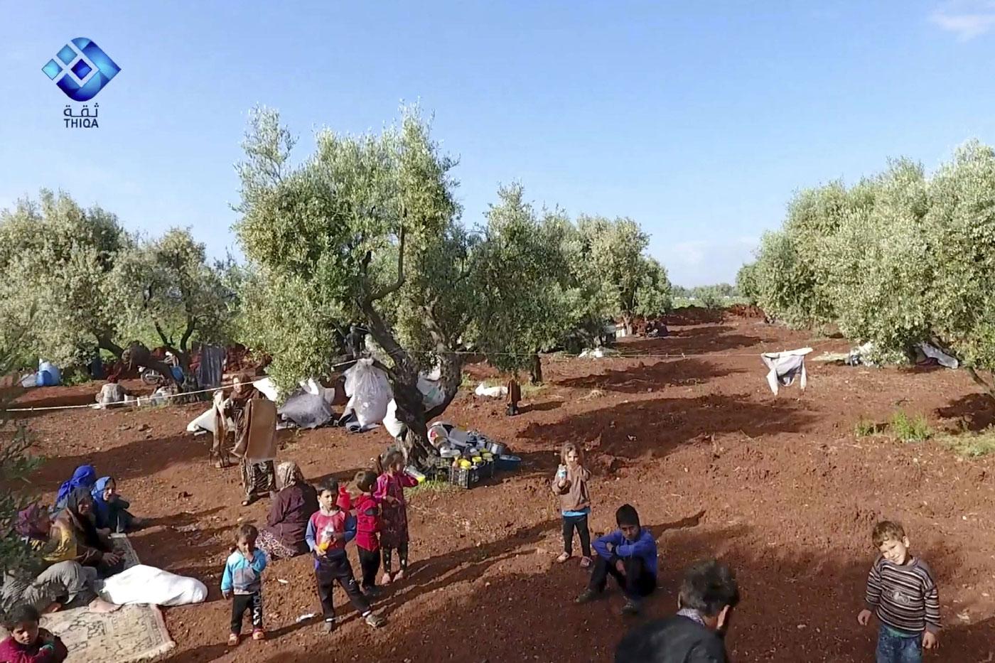 Residents displaced from the latest violence that hit the last rebel stronghold taking refuge in olive orchard near the town of al-Atmeh
