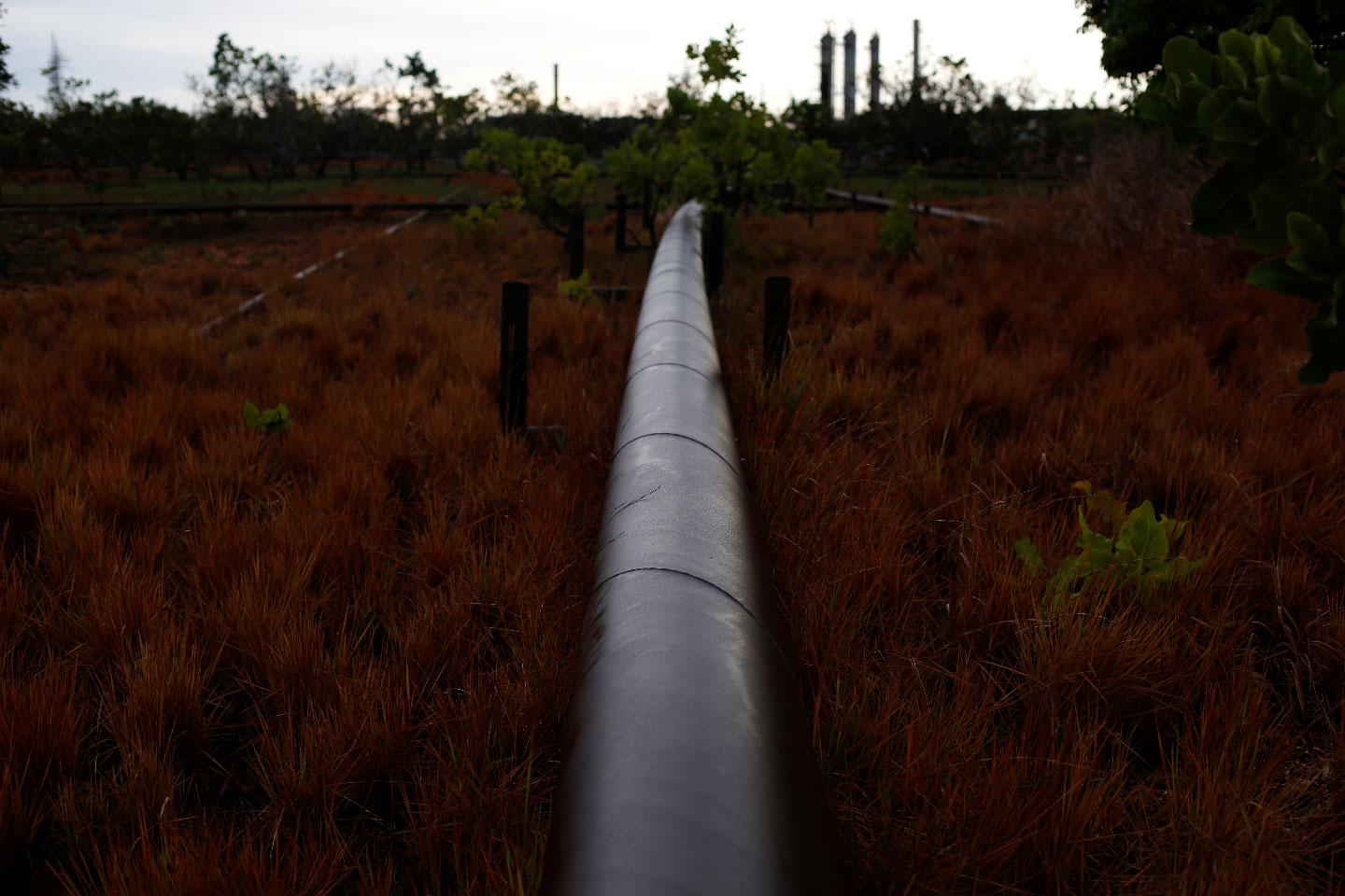 An oil pipeline from petroleum plant crosses a field on the outskirts in El Tigre, Venezuela