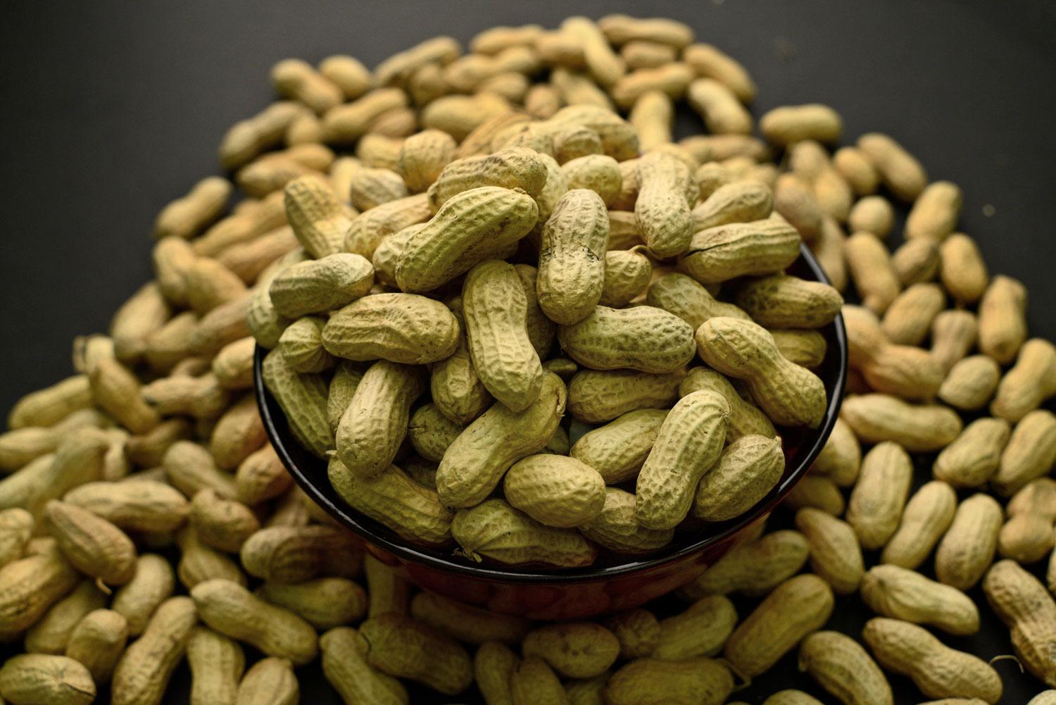 الفول السوداني