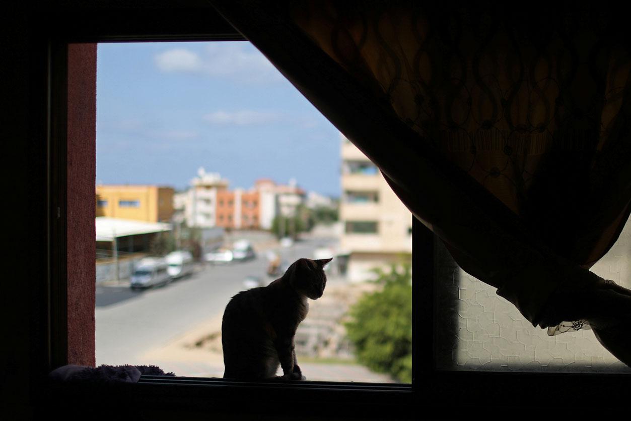 A cat is seen on a window inside the house of a Palestinian man Saeed el-Aer
