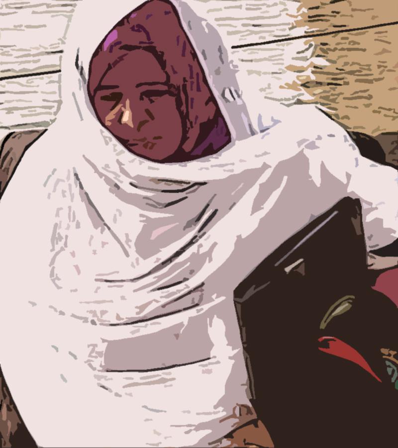 القرار تتويج لمسيرة طويلة للمرأة السودانية في حقل القضاء