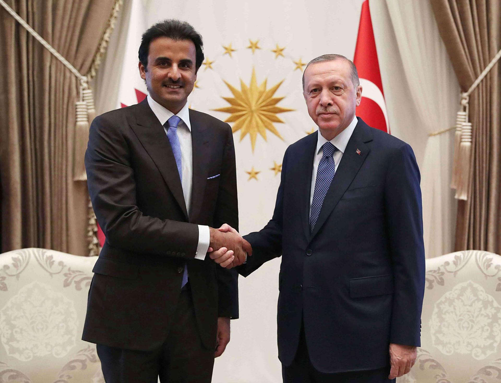 امير قطر الشيخ تميم بن حمد آل ثاني في لقاء مع الرئيس التركي رجب طيب اردوغان