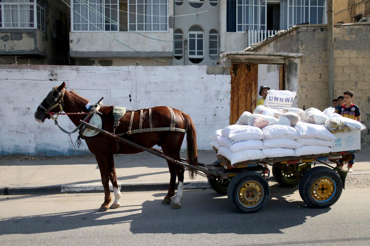 A Palestinian worker carries food supplies distributed by UNRWA at Al-Shati refugee camp in Gaza City