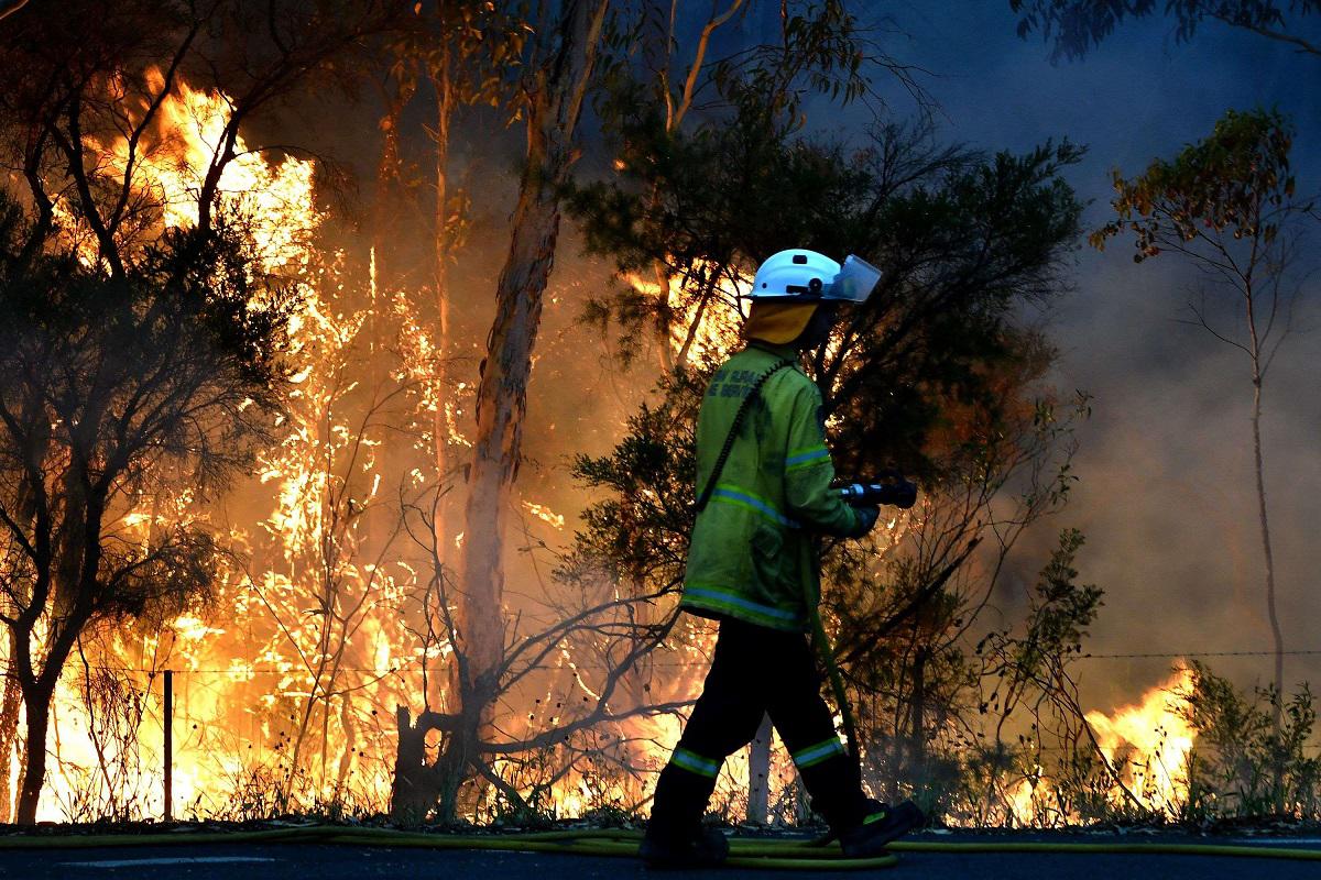 رجل اطفاء يكافح النيران خلال أحد حرائق غابات استراليا
