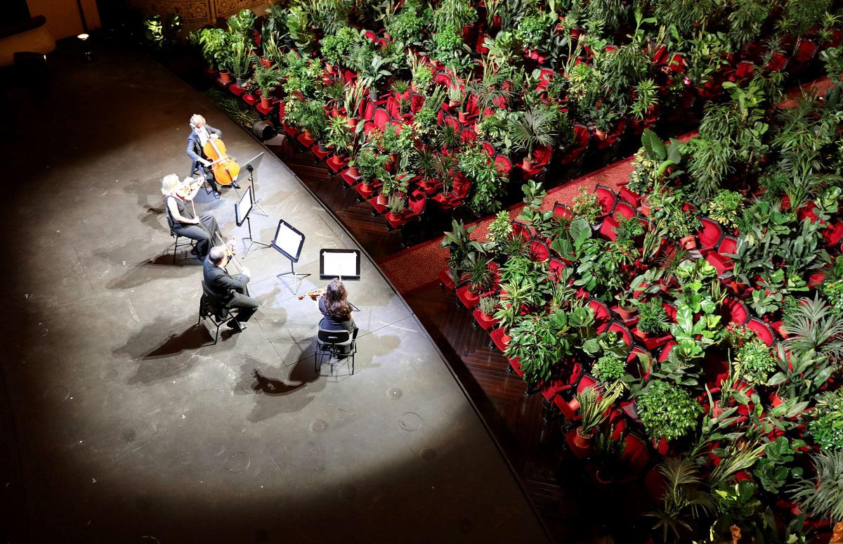 نباتات تحضر عرضا موسيقيا في اوبرا برشلونة
