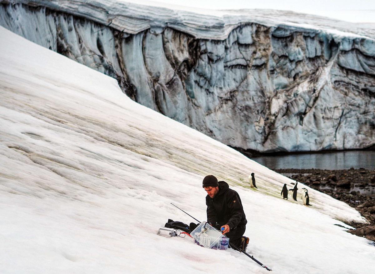 باحثة تأخذ عينات من الطحالب الثلجية على نهر كولينز الجليدي في القارة القطبية الجنوبية