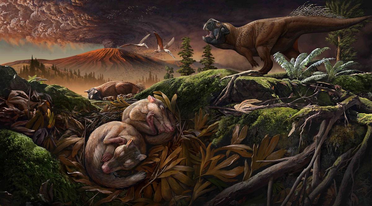 صورة تقريبية للحياة في عصر الديناصورات قدمتها جامعة صينية