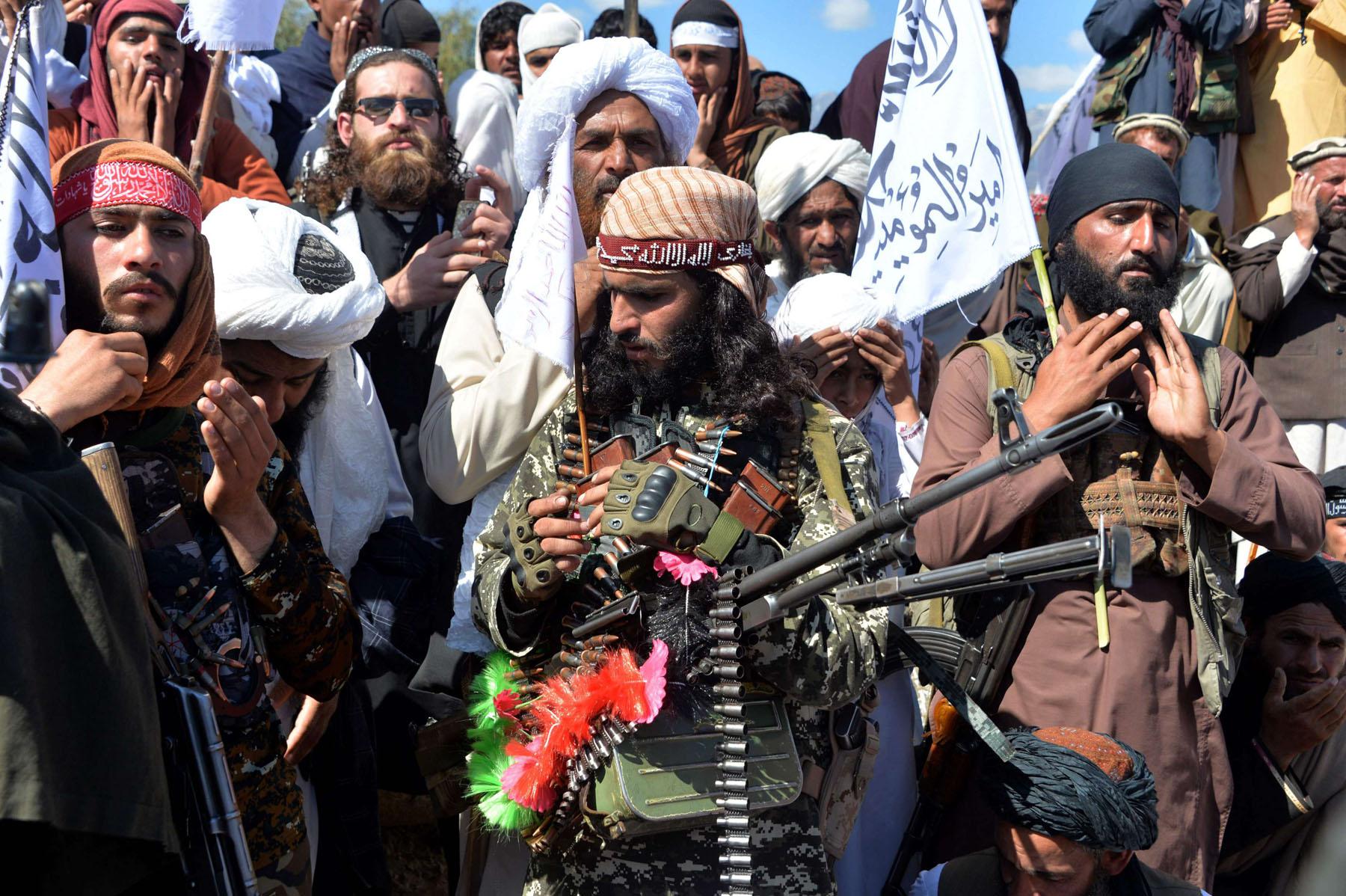 علاقات صداقة ومصاهرة وايدولوجيا مشتركة تجمع طالبان والقاعدة