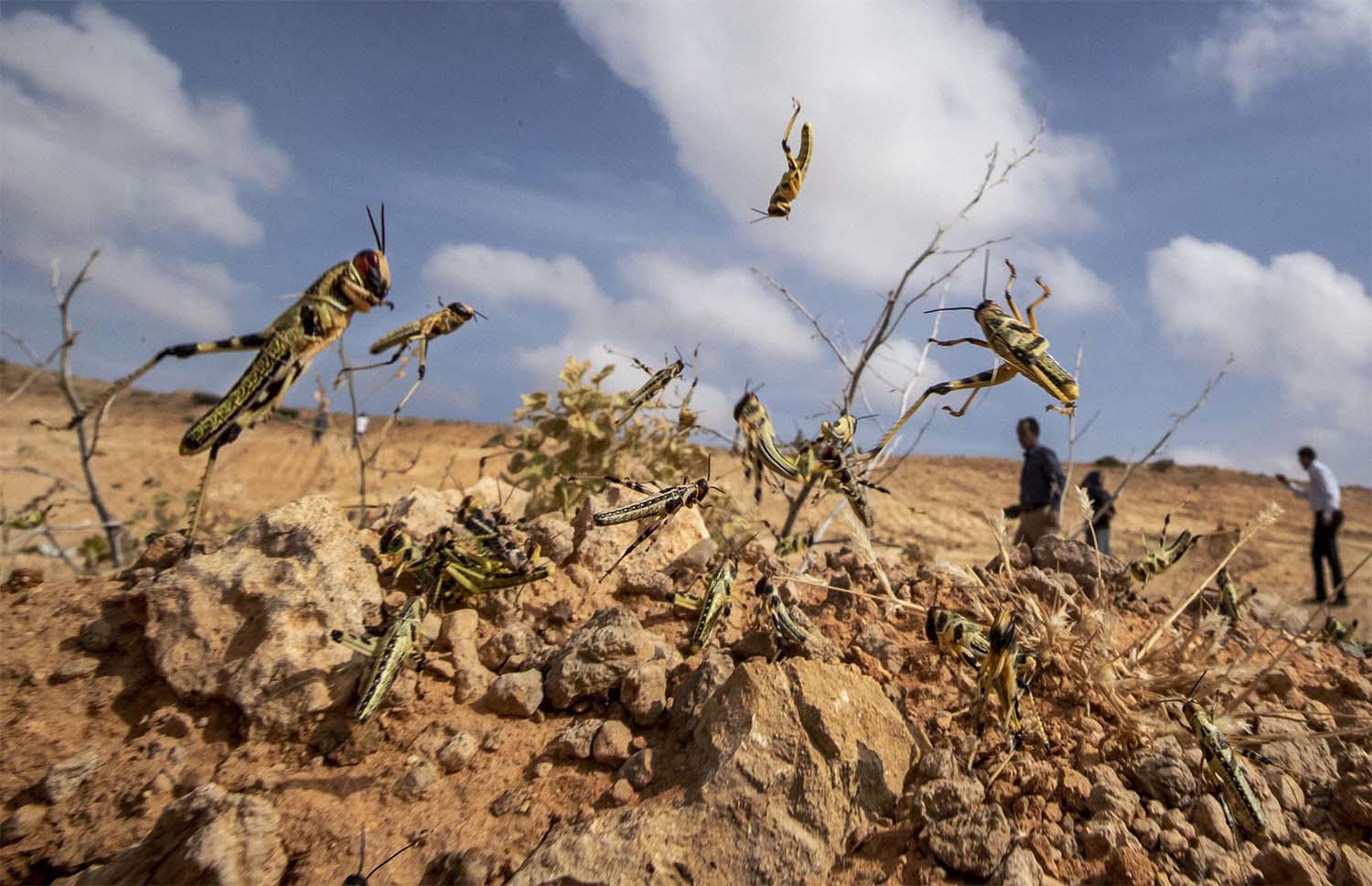 Somalia has already suffered this year from flooding and a locust invasion