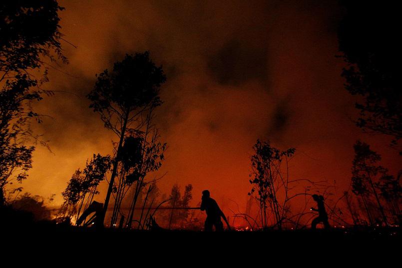 حرائق غابات الجزائر