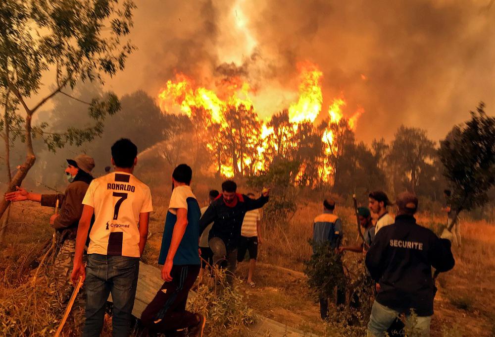 الجزائر تعيش صدمتني صدمة حرائق الغابات وصدمة حرق شاب حي