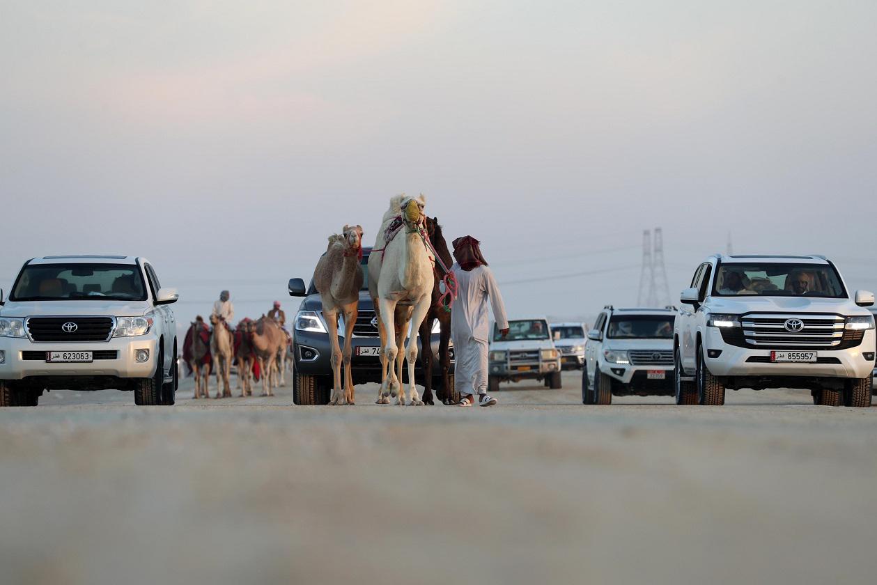 مهرجان الظفرة