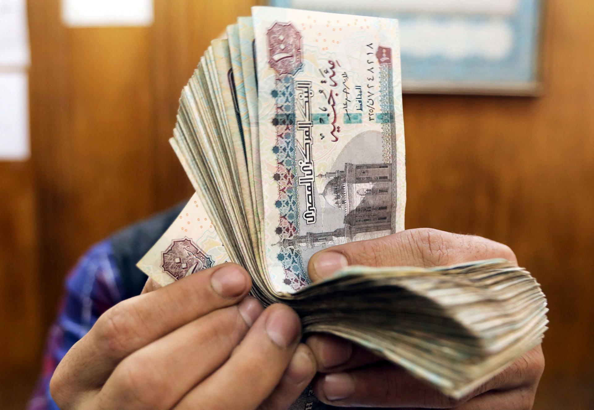 الحكومة المصرية تخطط لان تصل مساهمة القطاع الخاص في الاستثمارات الكلية إلى 65 بالمئة خلال 3سنوات