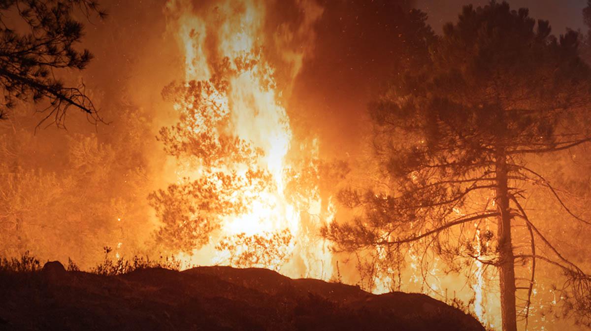 Three firefighters were killed while trying to extinguish the fire that spread to Cabo Negro