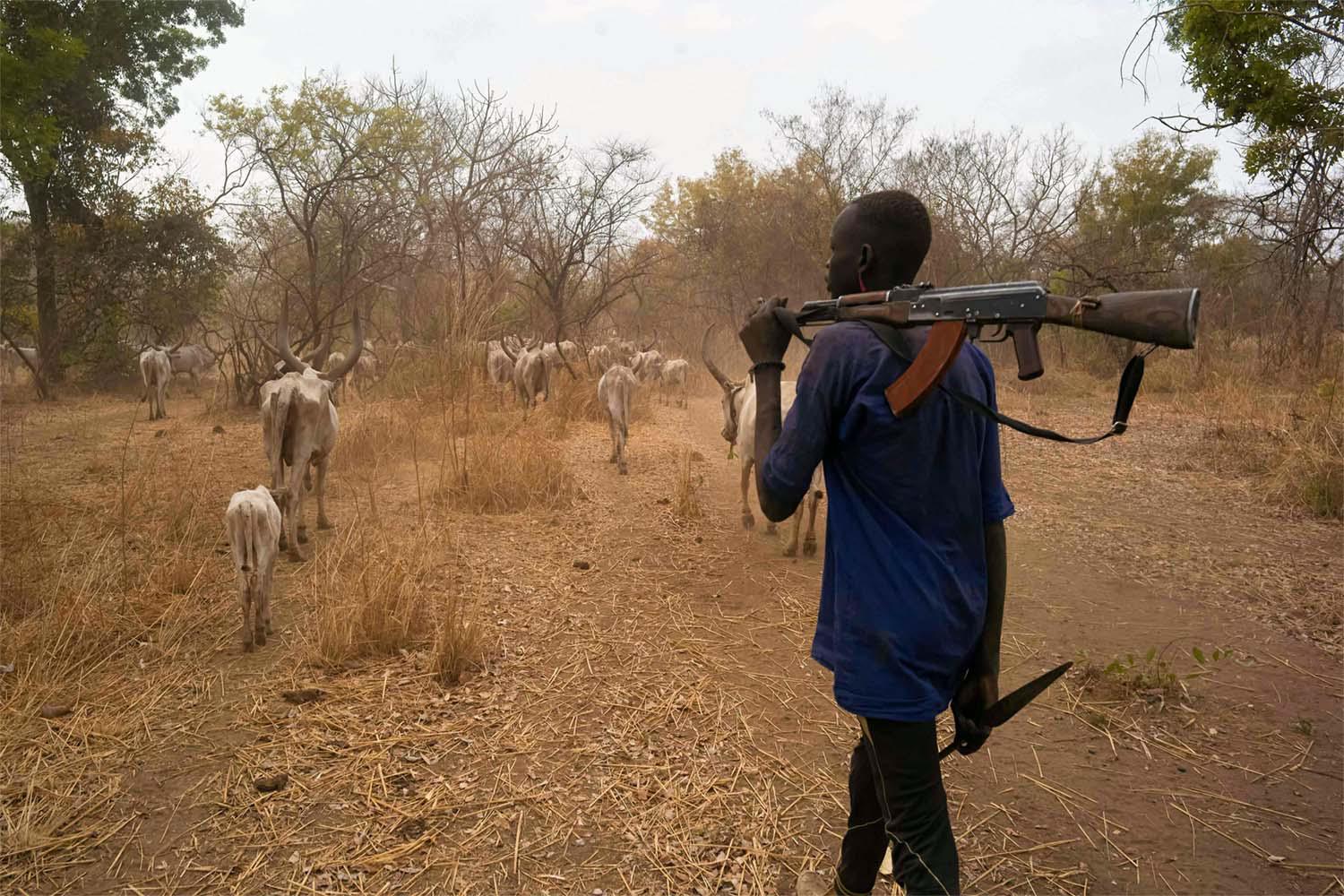 Violence is rife in parts of South Sudan where clashes triggered by domestic disputes over grazing areas, water, cultivation grounds and other resources often turn deadly