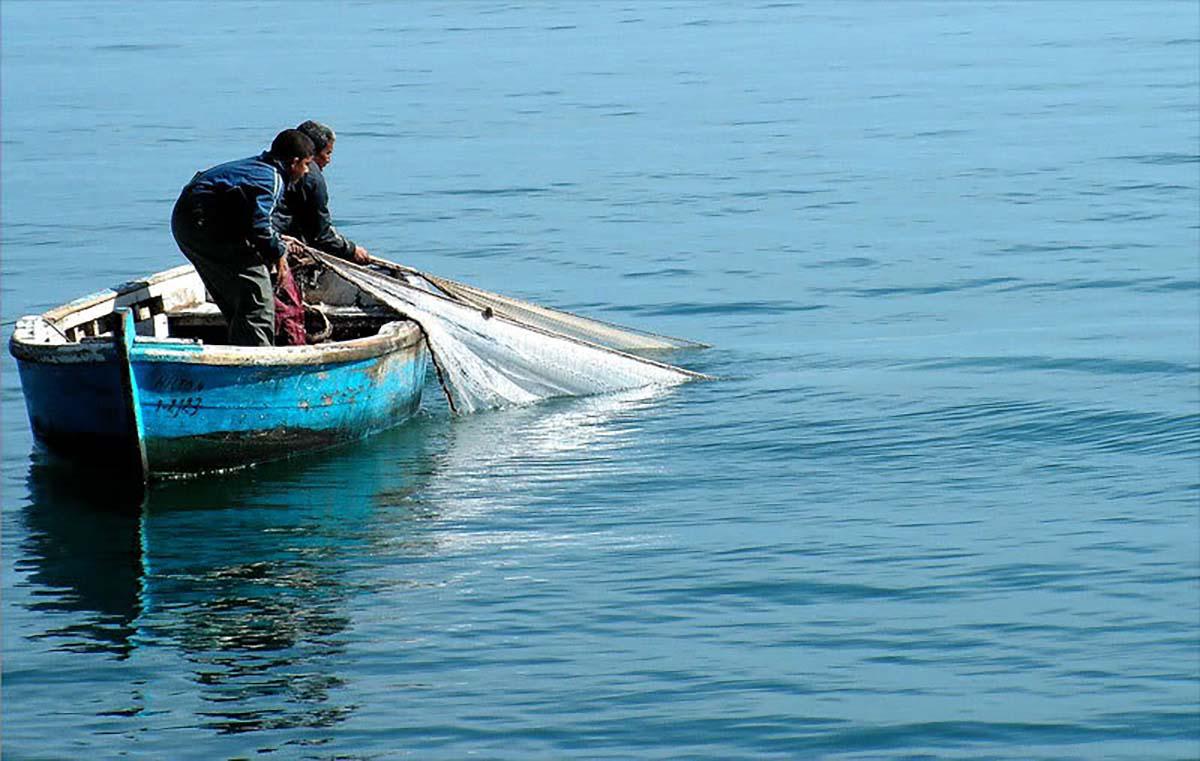 Fishing Reel - Seamar Fishing Morocco