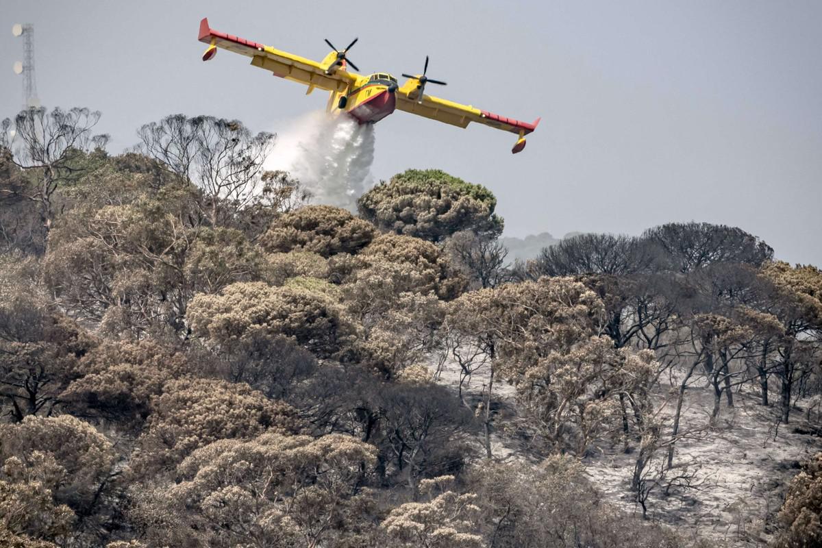 المغرب جاهز للتصدي لحرائق الغابات 