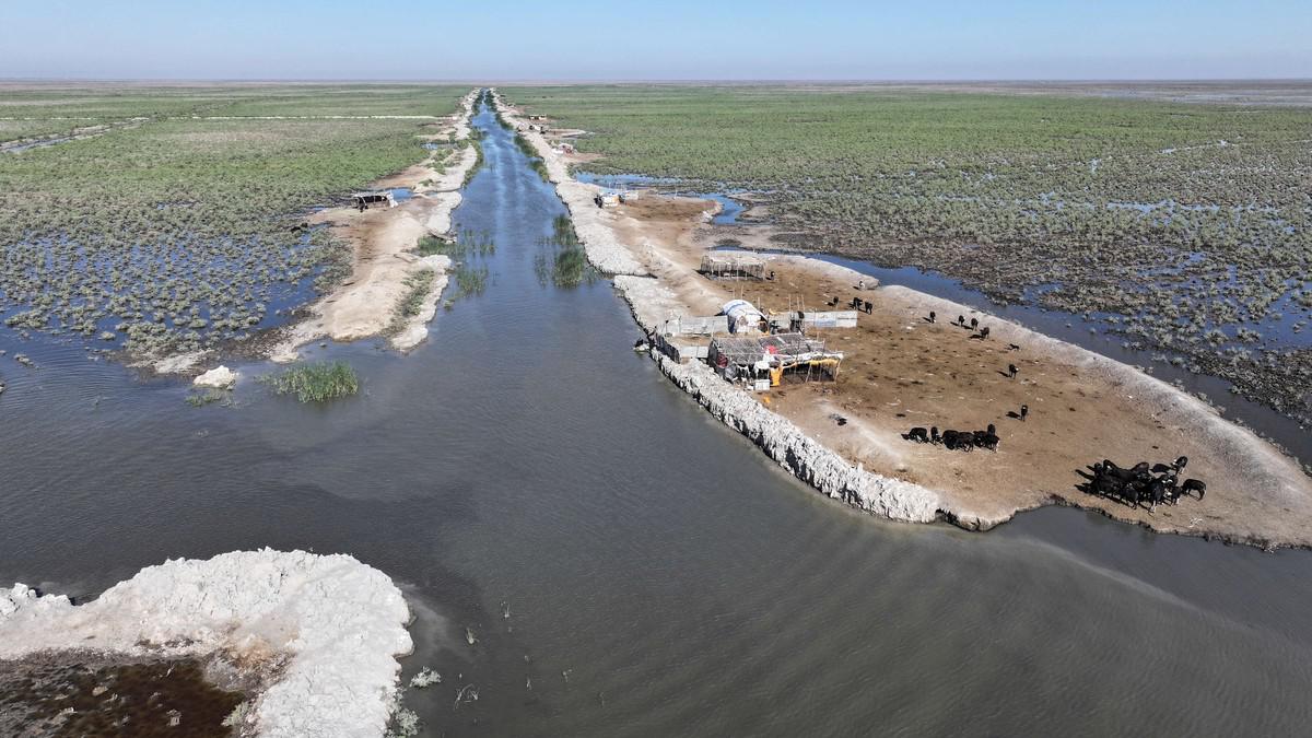 استمرار أزمة المياه في العراق يهدد أمنه القومي