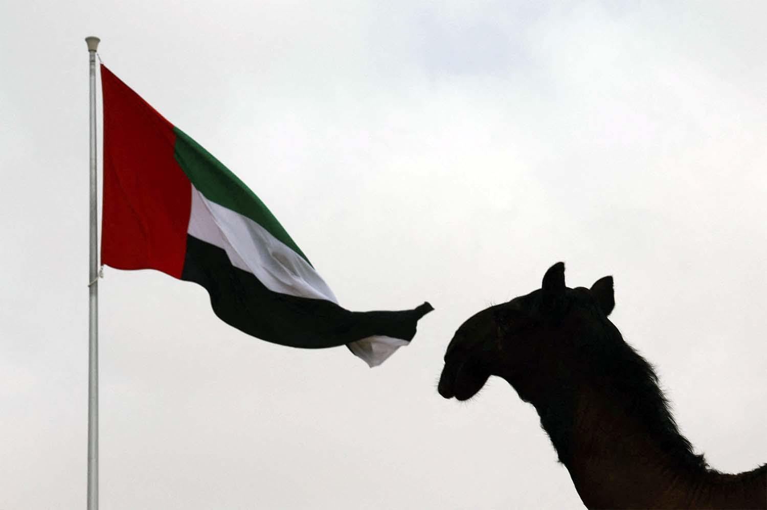 A continuous commitment to preserving and promoting local and Arab heritage on a global scale