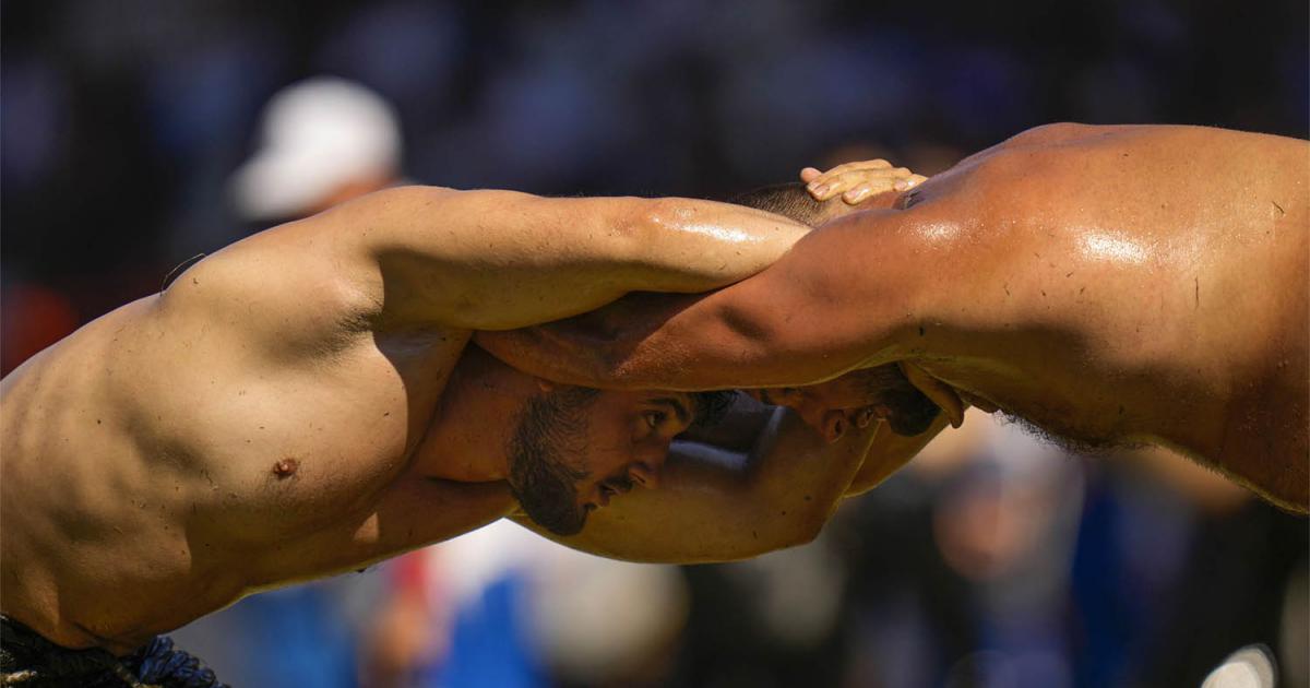 Oil wrestlers seek glory in Turkey’s centuries-old contest | MEO