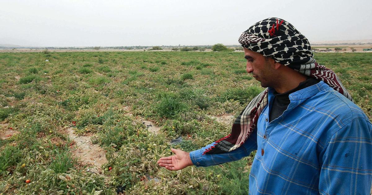 الصالح نيوز : 
  الأردن يكافح ندرة المياه في ذروة الشتاء
